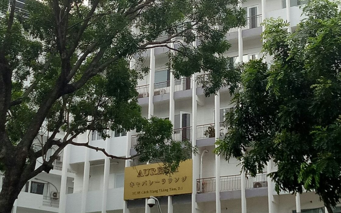 Ziuka Tower (Twins Tower 11)