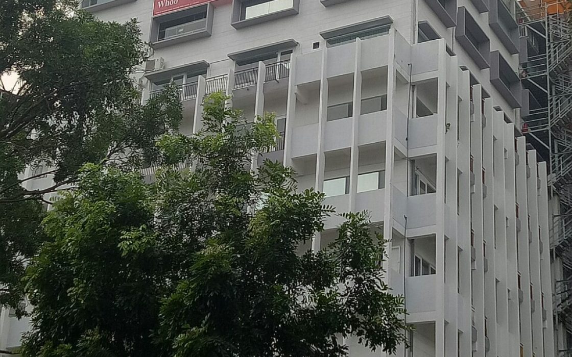 Ziuka Tower (Twins Tower 11)