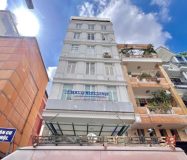 Halo Đinh Công Tráng