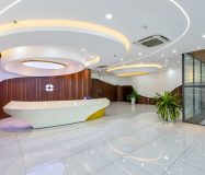 Zeta Nguyễn Hữu Cầu