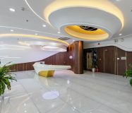 Zeta Nguyễn Hữu Cầu