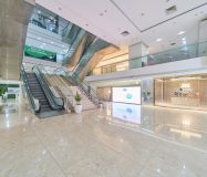 Golden King Building