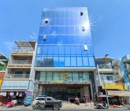 Zeta Nguyễn Hữu Cầu